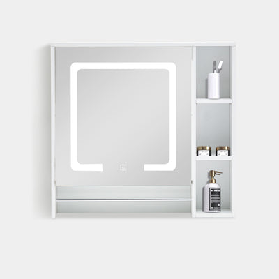 Tavion Bathroom Mirror Cabinet with Lights (1 Door+3 Shelves)