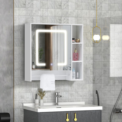 Tavion Bathroom Mirror Cabinet with Lights (1 Door+3 Shelves)