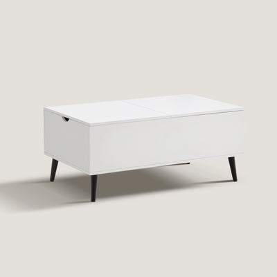 Elna Coffee Table with Lift Top and Storage