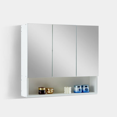 Colin Bathroom Mirror Cabinet with Lighting