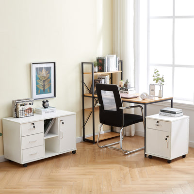 Edene Mobile Filing Cabinet [1-Drawer 1-Door]
